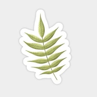 Autumn leaf green Sticker